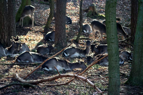 Killikus&reg; Fotographie